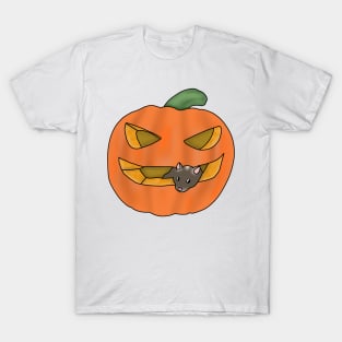 Cute brown gerbil in a pumpkin T-Shirt